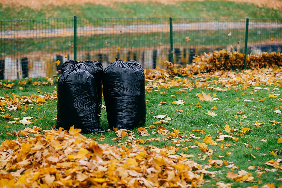 Black trash bags filled and tied, ready for pickup